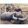 Image 1 : 5 Day Banteng Hunt in Australia on the Coburg Peninsula with outfitter Aaron Corbett from Australian