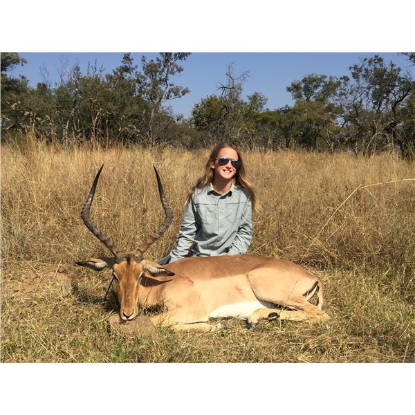 Five-day South Africa (Limpopo) Custom Plains Game Hunt for 2 Hunters 2 Non-Hunters for a (Zebra, Im