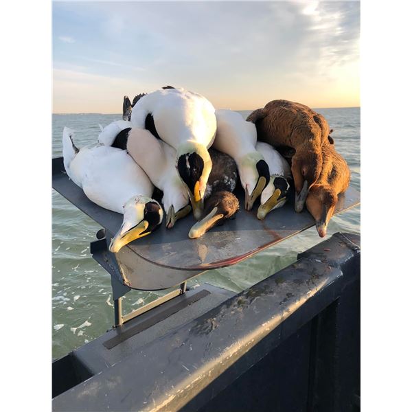 2 Day Fully Guided Sea Duck Hunt for 4 hunters in Boston, Massachusetts.  Donated by Full Plume outd