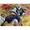 Image 1 : 3 day 4 night hunt for 1 hunter to Ireland for EITHER 1 Ibex, 1 Sika Deer, or 1 Multi Horn Sheep. (D