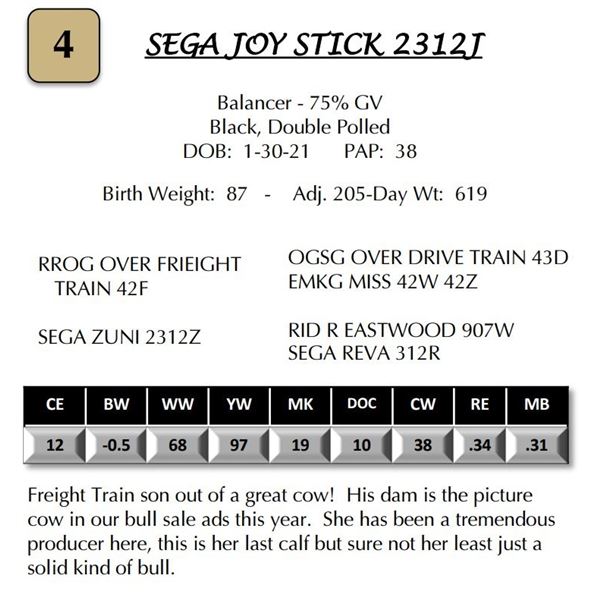 SEGA JOY STICK 2312J
