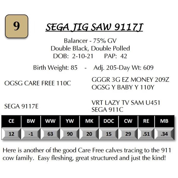 SEGA JIG SAW 9117J