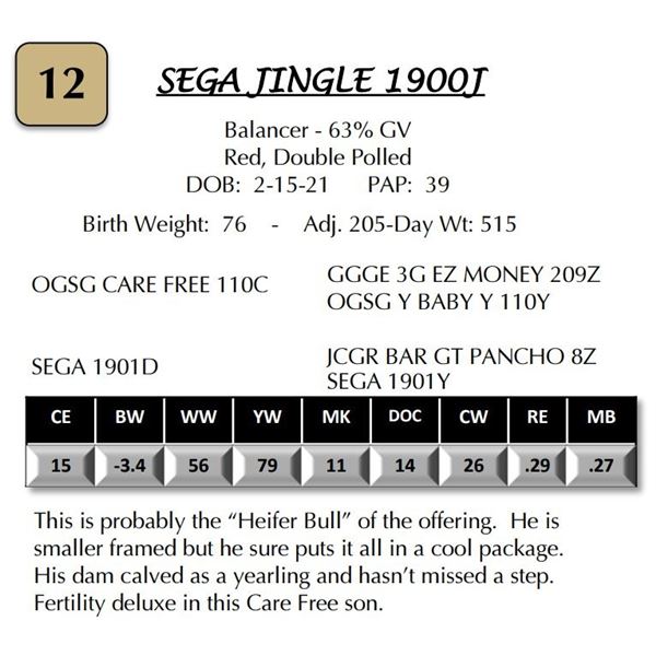SEGA JINGLE 1900J
