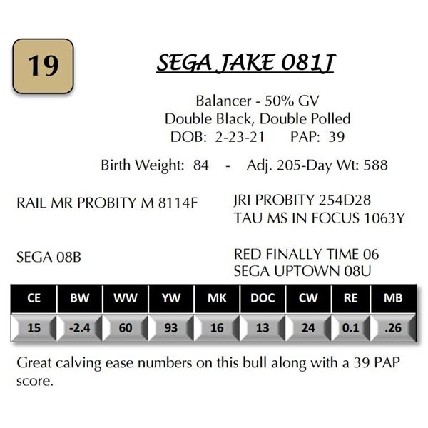SEGA JAKE 081J