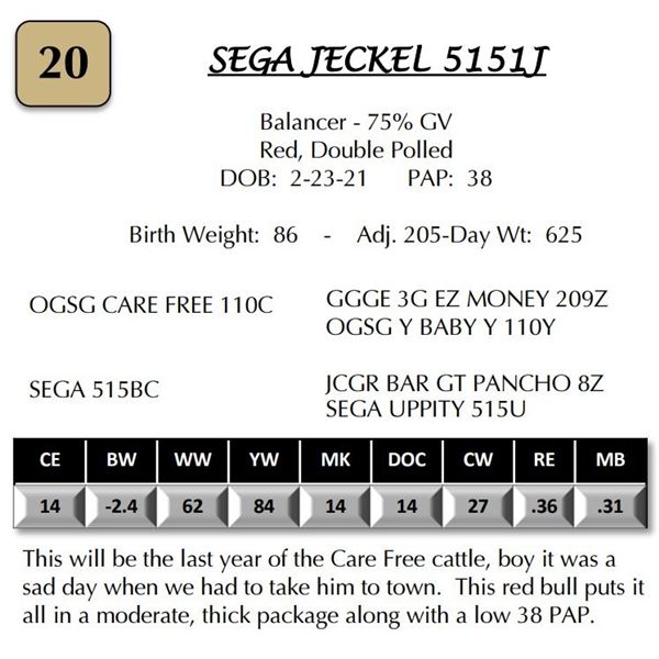 SEGA JECKEL 5151J