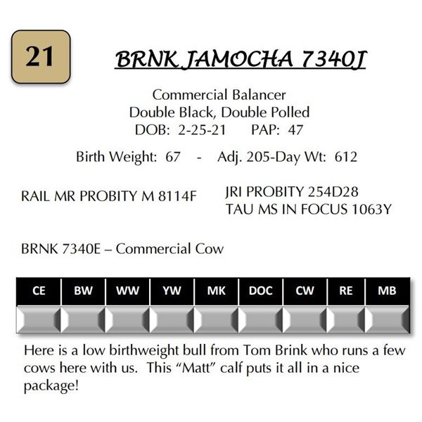 BRNK 7340J