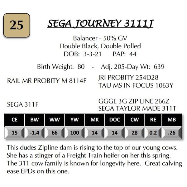 SEGA JOURNEY 3111J