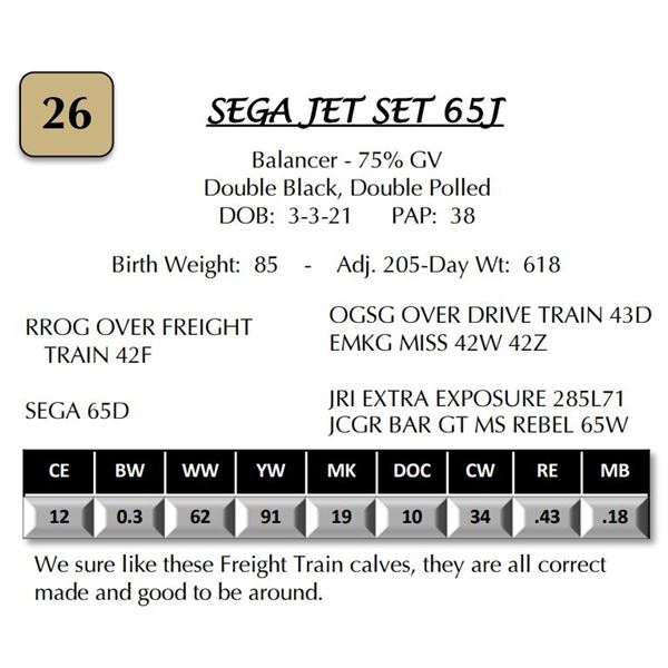SEGA JET SET 65J