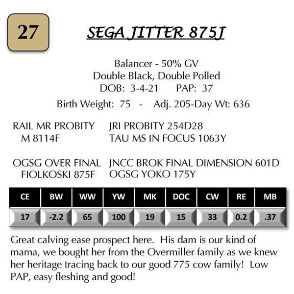 SEGA JITTER 875J
