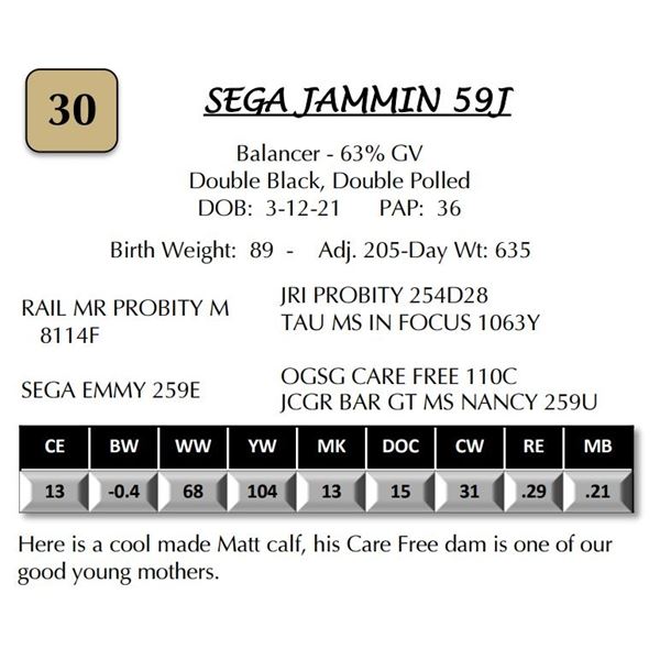 SEGA JAMMIN 59J