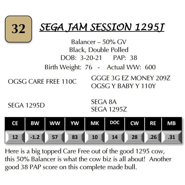SEGA JAM SESSION 1295J