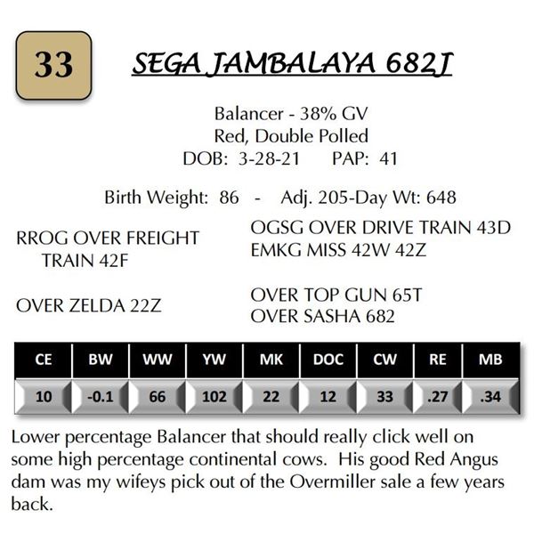 SEGA JAMBALAYA 682J