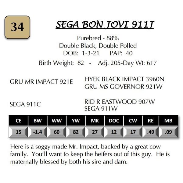 SEGA BON JOVI 911J