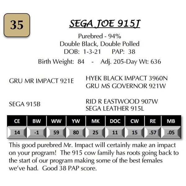 SEGA JOE 915J