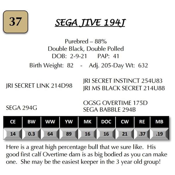 SEGA JIVE 194J