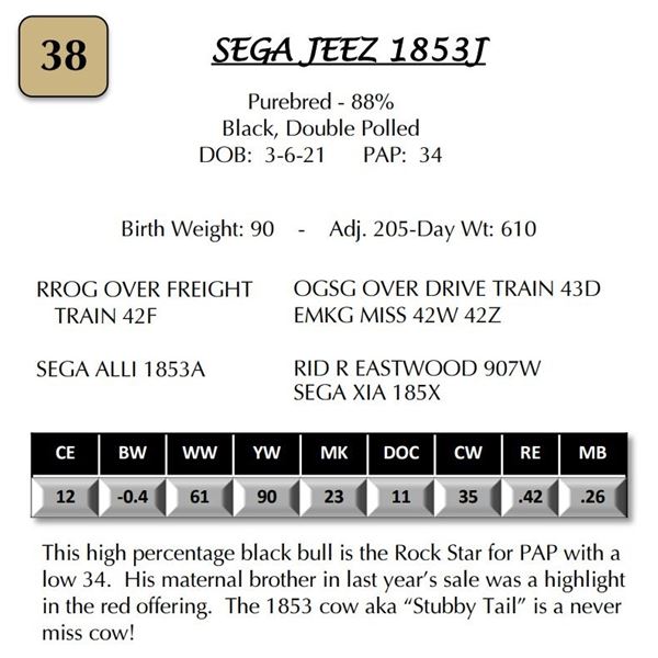 SEGA JEEZ 1853J