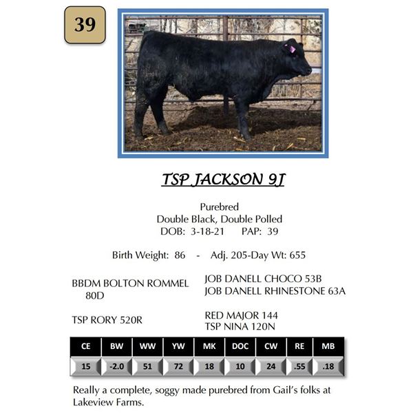 TSPJACKSON 9J