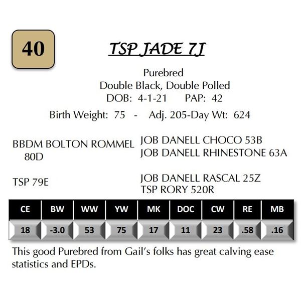 TSP JADE 7J