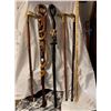Image 1 : Canes and Walking Sticks