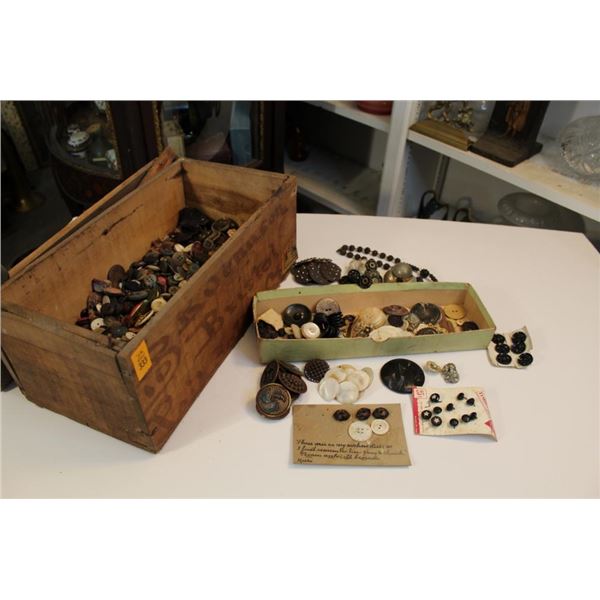 Button Collection