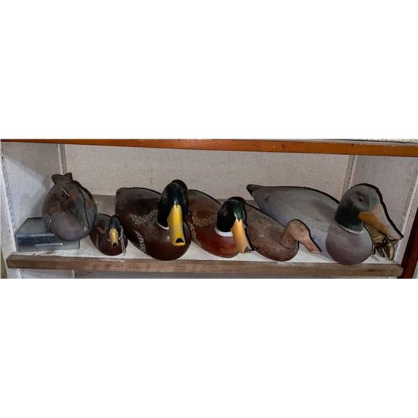 Duck Decoys