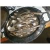 Image 2 : Silverplate Collection