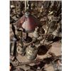 Image 7 : Lifetime Lamp Collection