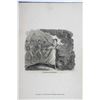 Image 3 : George Cruikshank, 4 Titles