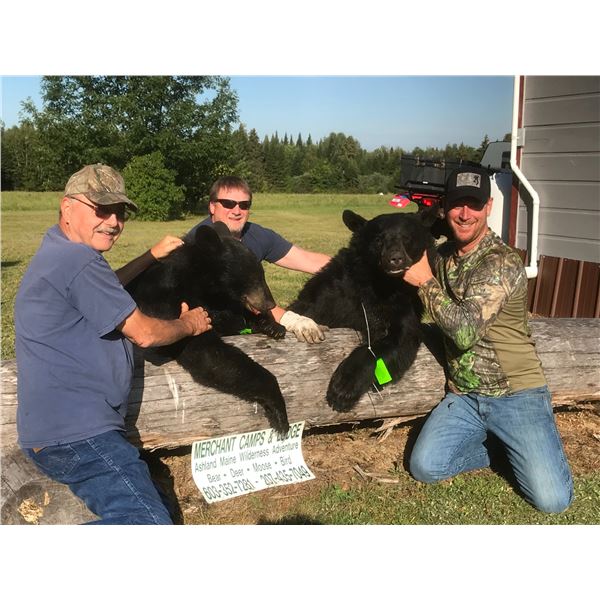Maine Black Bear Hunt