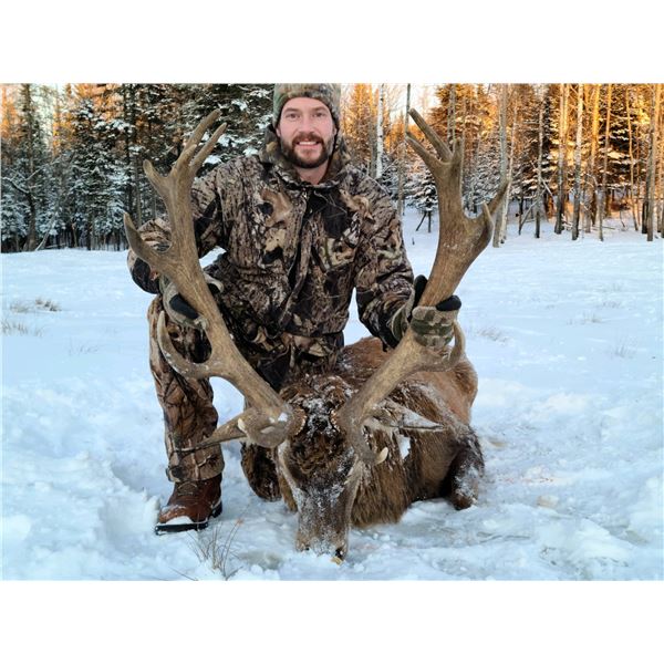 Maine Trophy Red Stag
