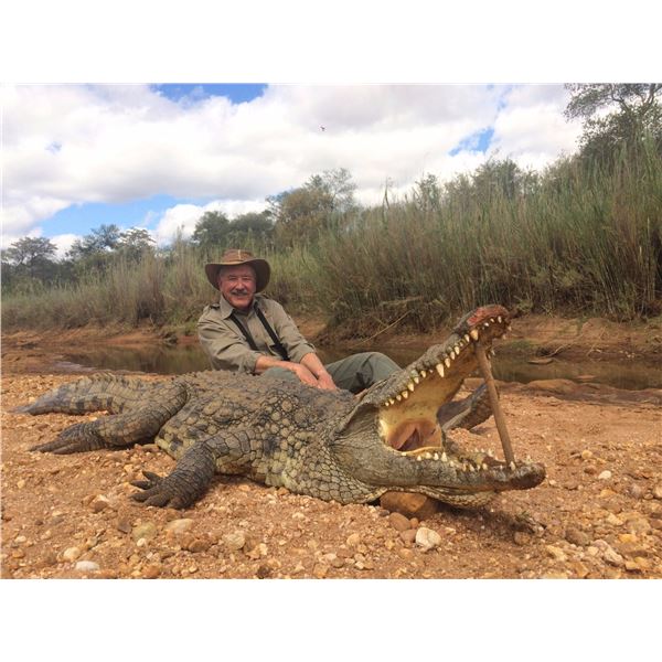 Winner's Choice 2 X Crocodiles!