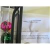 Image 2 : HANGING THERMOMETER