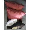 Image 2 : ASST. PILLOWS