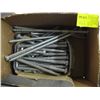 Image 1 : LAG BOLTS