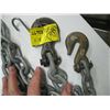 Image 2 : 11' CHAIN WITH HOOKS