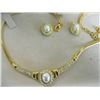 Image 2 : NECKLACE & EARRING SET