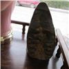 Image 2 : FOSSIL
