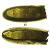 Image 1 : Cut end of an Anglo-Saxon gold ingot (ca. 800 AD).