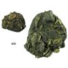 Image 1 : Dutch ducatoon "biscuit" in heavy conglomeration.