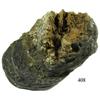 Image 1 : Clump of 4 Dutch arendschellings (Holy Roman Empire).