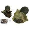 Image 1 : Conglomerate of one Mexican pillar dollar 1744MF and glass and other debris.