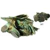 Image 1 : Large clump of 50+/- English East India Co. copper X cash, 1808.