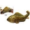 Image 1 : Large jade fish.