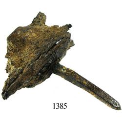 Bronze spike in wood section.