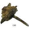 Image 1 : Bronze spike in wood section.