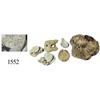 Image 1 : Lot of 6 lead seals and other small lead pieces.