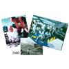 Image 1 : Lot of 3 color photos of Kip Wagner, Mel Fisher, the Real Eight Co. and their museum in Cape Canaver