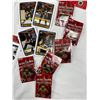 Image 2 : Assorted NHL Collectibles