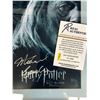 Image 2 : MICHAEL GAMBON SIGNED AND CUSTOM FRAMED HARRY POTTER 8 X 10 (RA COA)