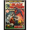 Image 1 : MARVEL COMICS  JUNGLE ACTION BLACK PANTHER NO.5